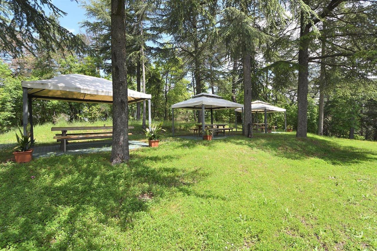 Luciana In Chianti Apartment Gaiole in Chianti Ngoại thất bức ảnh